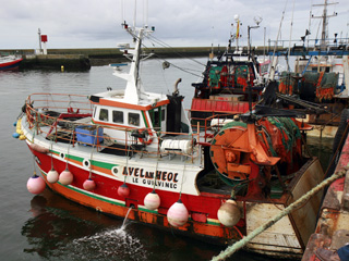 Bateaux à Guilvinec